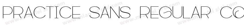 Practice Sans Regular Condensed字体转换